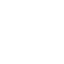 Professional development opportunities