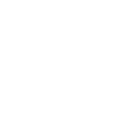 Vision